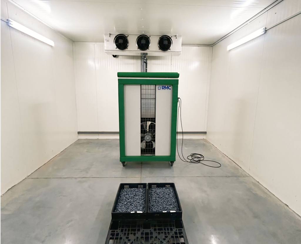 Реалізований проєкт для ягідного господарства